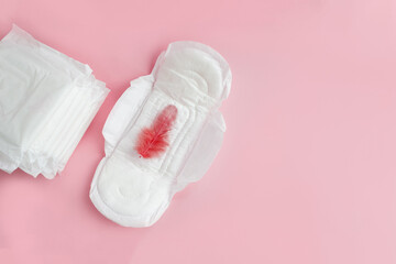 Feminine sanitary pads and red feather on pink background. Menstrual cycle concept. Copy space