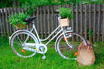 kwietnik na białym rowerze, dekoracja ogrodowa vintage, flowerbed on a bicycle - obrazy, fototapety, plakaty