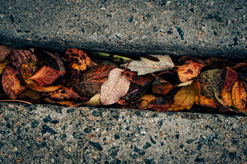 rusty metal plate