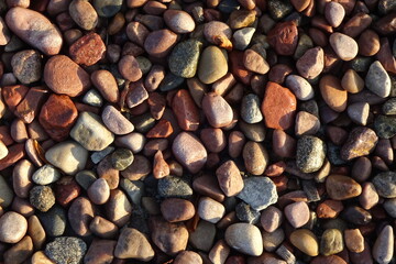 Various grey, pink, brown colours small stones with blades of grass on a sunny day. Full frame. Background or backdrop