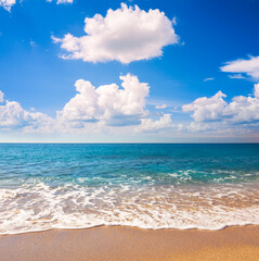 beautiful beach and tropical sea