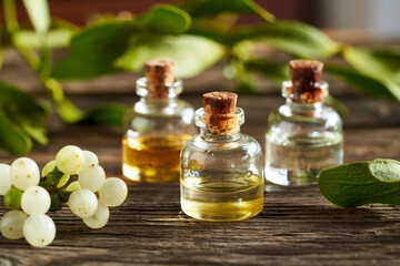 Bottles of essential oil with fresh mistletoe