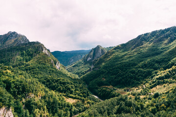 Tara river canyon covered with forest. Montenegro