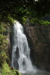 Fototapeta na wymiar Taken at Khao Yai National Park, Thailand on vacation. nature tour