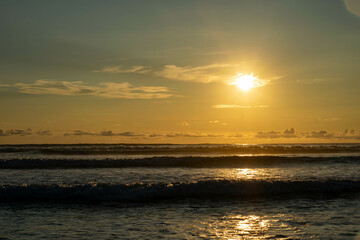 Beach, Manabi, Ecuador, hermit crab