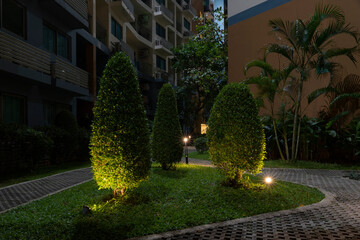 Beautiful trimmed bushes at night with backlight.