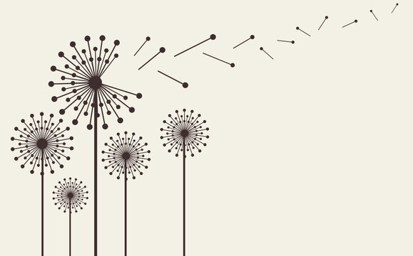 Hand drawn dandelion flowers . Abstract floral summer posters, wall art isolated on cream background.