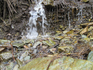 waterfall in the forest agua río quebrada