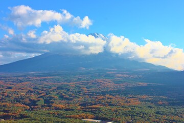 紅葉台から望む富士山と樹海。