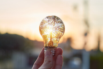 Hand holding Green energy innovation light bulb. Renewable energy concept.