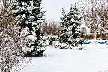 Snow scenery along the river in city Park in winter
