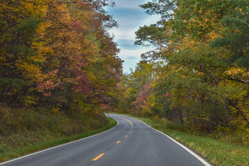 Fototapeta premium Shenandoah National Park, Virginia, USA - November 3, 2021: Skyline Drive, a Winding Country Road Traveling Through Beautiful Fall Foliage