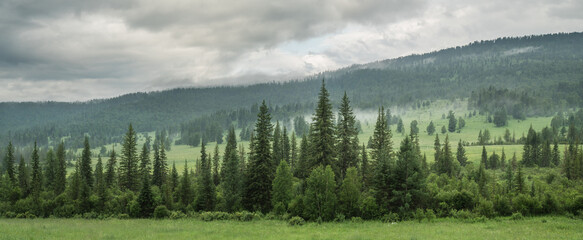 Mountain taiga, a wild place in Siberia. Coniferous forest, panoramic view.