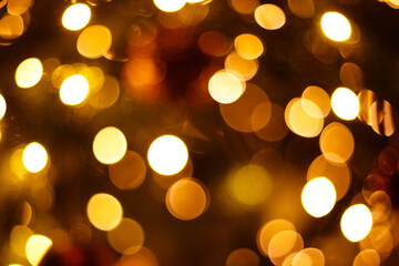 Obraz premium Close-up christmas tree blurred background with bokeh lights