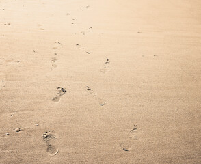 Fototapeta na wymiar Footprint background. Barefoot walking on the smooth sandy beach.