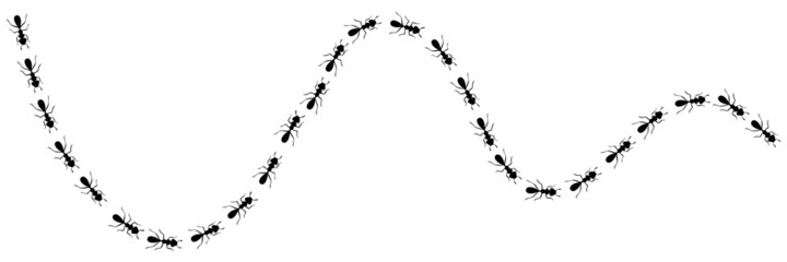 Ants trail with location icons. Route or path isolated in white background. Vector illustration