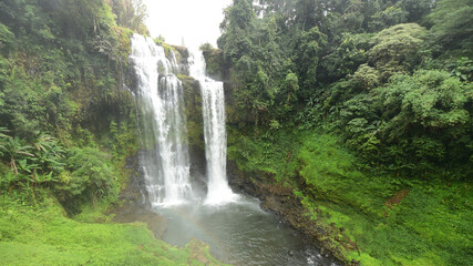 Beautiful landscape of waterfall in forest, Thailand