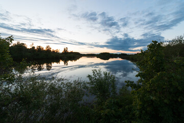 dark night lake visible from behind the bushes