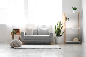 Interior of light living room with comfortable sofa and houseplant near window