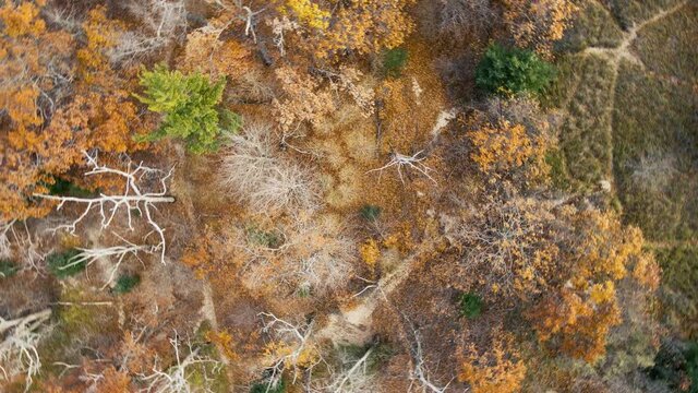 Trails at Kruse Park in late autumn from drone.