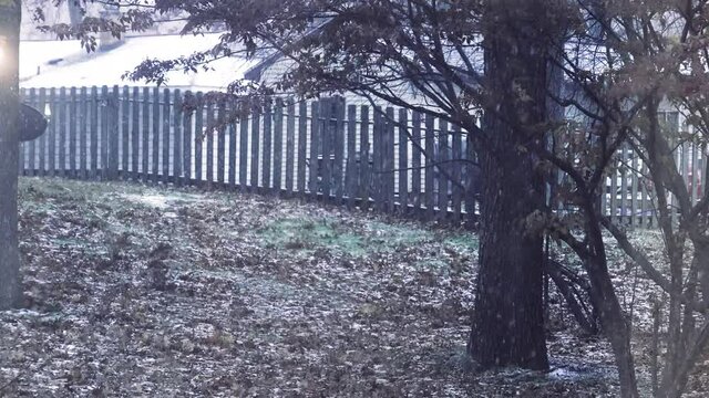 First snow in Muskegon, MI. Soft flakes falling fast.