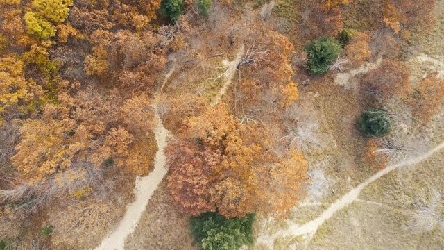 Trails as seen from the air, taken above the dunes at Kruse Park in Muskegon, MI.