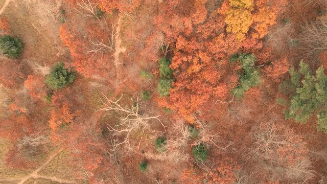 Birdseye view of trails at Kruse Park in muskegon.