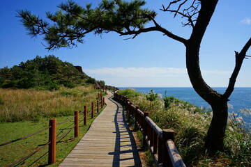 a wonderful seascape with a seaside walkway