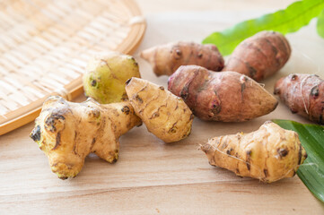 白菊芋と紫菊芋