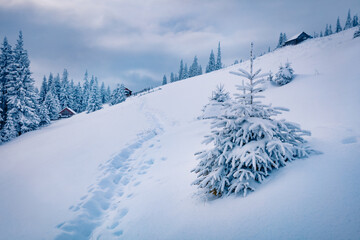 Beautiful winter scenery. Captivating evening view of abandoned Carpathian village. Misty outdoor...