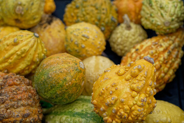Grupo de pequeñas calabazas aglomeradas en un estante de mercado.