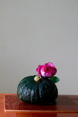 バラとカボチャ