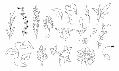 abstract tropical leaf, flower, element in one line style. modern natural set. hand drawn object, minimalist style. for print. banner, card, holiday idea. vector art  illustration