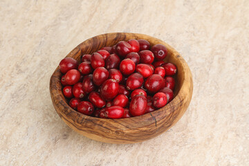Ripe sweet tasty cranberry in the bowl