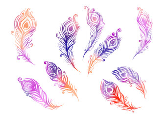 Watercolor multicolor Set of birds feather elements in the style of line art wedding theme on a white background. Doodle and scribble. red, orange, violet, pink, purple colorful peacock wings feathers