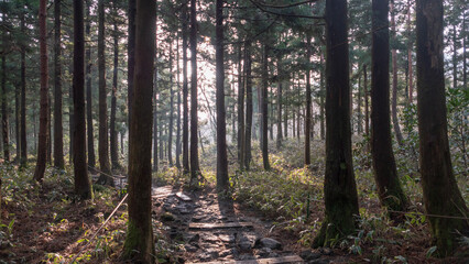 한라산 산책로