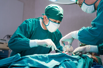 Medical team performing surgical operation in operating Room, Concentrated surgical team operating a patient