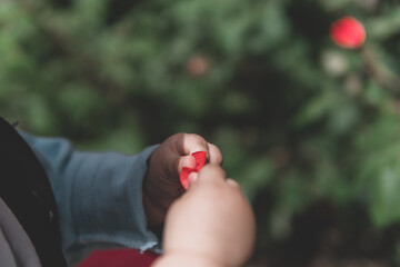 A baby picking flowers