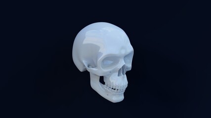 Ceramic White Skull on black background