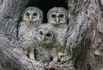 Look I just made you Smile