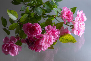 Pink roses bouquet light petal flower blooming with green stem pattern