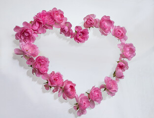 Pink roses Heart shape.on white background.Rose is a flower symbol represents love, romance in Valentines Day