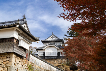 天空の城　備中松山城天守閣と紅葉　国指定重要文化財