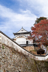 天空の城　備中松山城天守閣と紅葉　国指定重要文化財