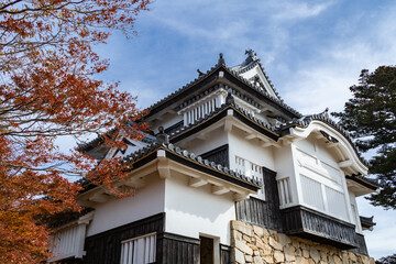 天空の城　備中松山城天守閣と紅葉　国指定重要文化財