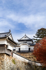 天空の城　備中松山城天守閣と紅葉　国指定重要文化財