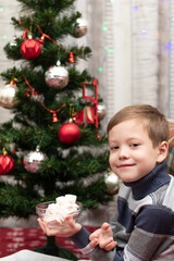 A very young boy in a warm sweater eats marshmallows against the background of a New Year tree while sitting on a warm blanket. Selective focus. Portrait