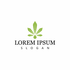 Cannabis marijuana hemp leaf logo and symbol