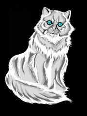 cat on a white background