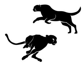 panther running, silhouette of cheetah, cheetah running